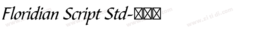 Floridian Script Std字体转换